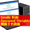 開設１ヵ月 ConoHa WING Pagespeed Insights 速度 2021/01/30